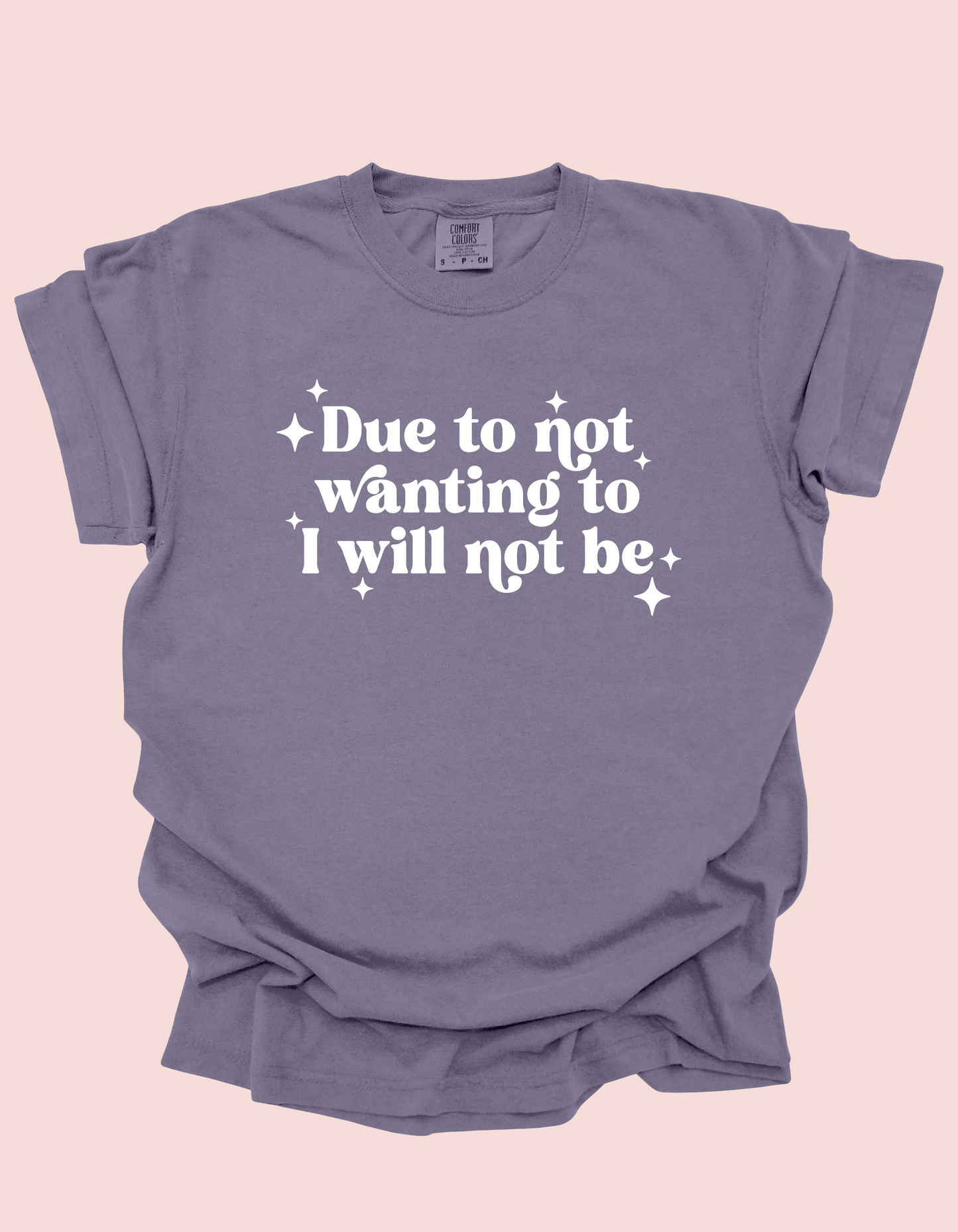 I Will Not Be Tee (Comfort Colors)