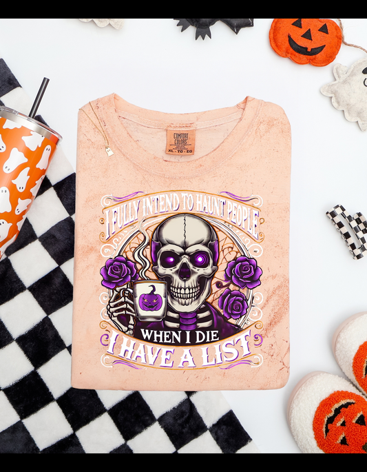 Intend to Haunt People Tee (Comfort Colors)